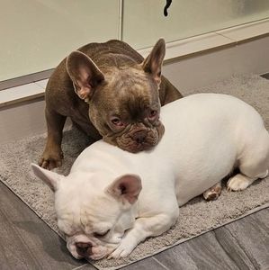 Meet your Posher, Timmy